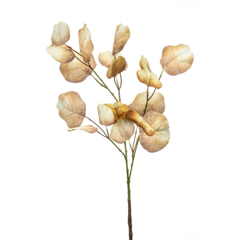 Eucalyptus spray cream/brown 105cm