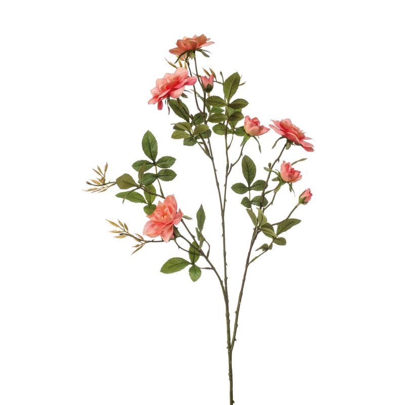 Rose loes spray coral 90cm