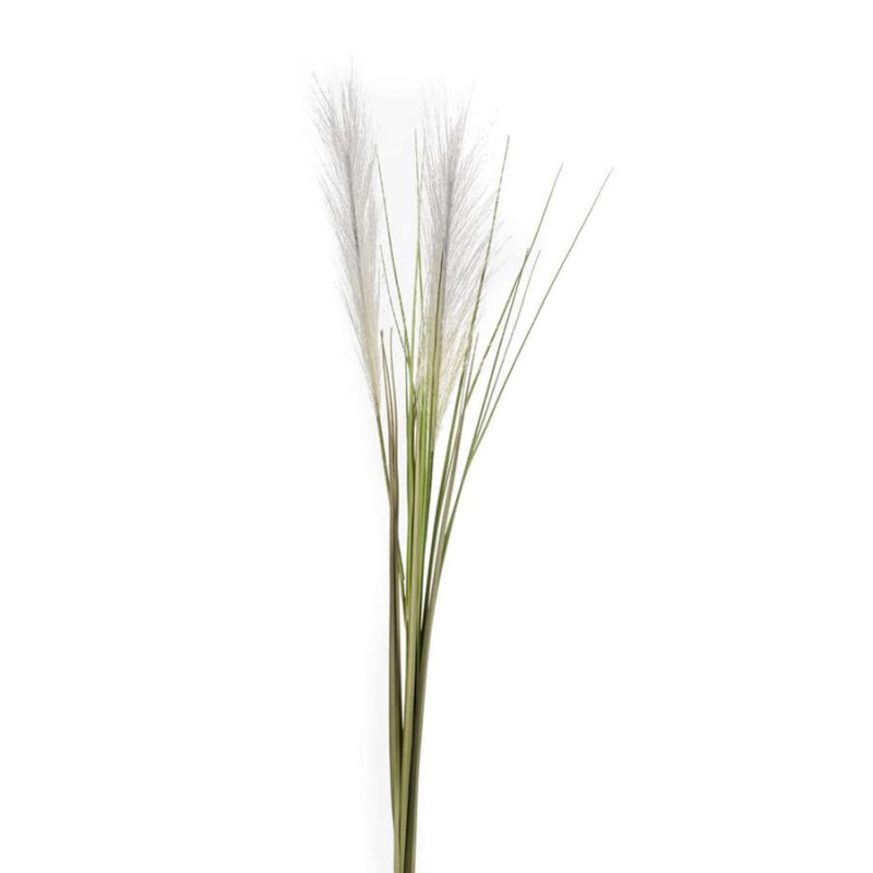 Grass cortaderia cream 95cm