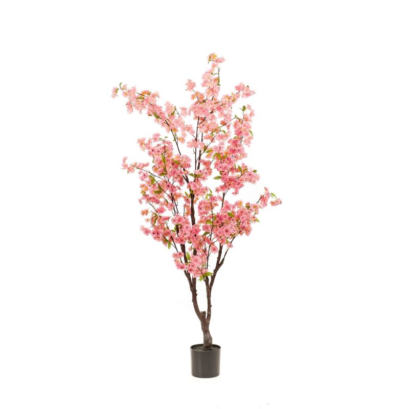 Blossom cherry tree pink 175cm