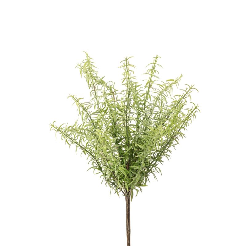 Rosemary bush green/grey 30cm