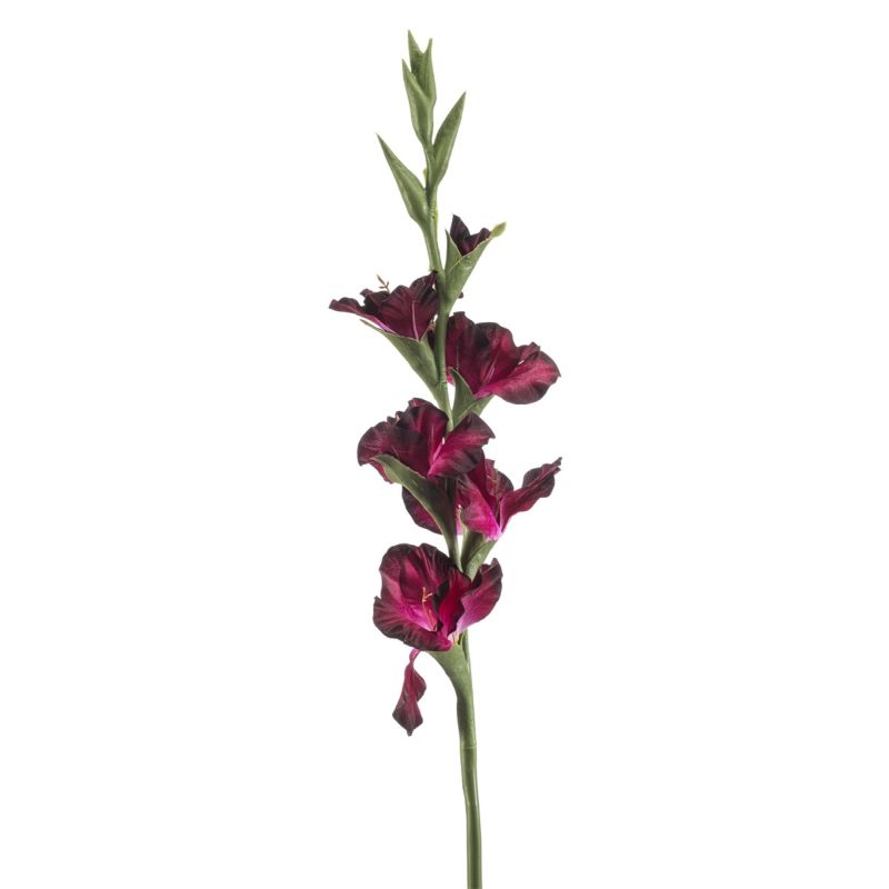 Gladiolus spray purple 88cm