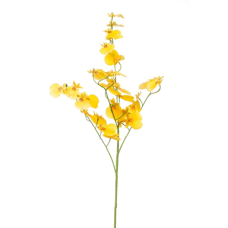 Oncidium spray RT yellow 75cm