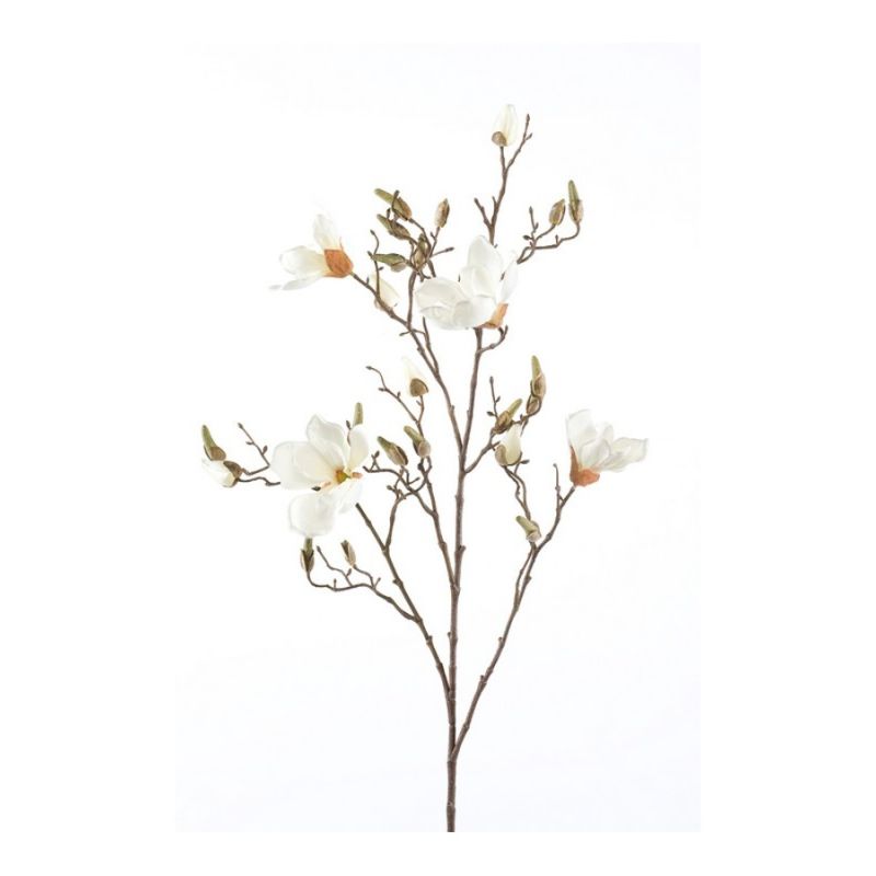 Magnolia spray cream 105cm