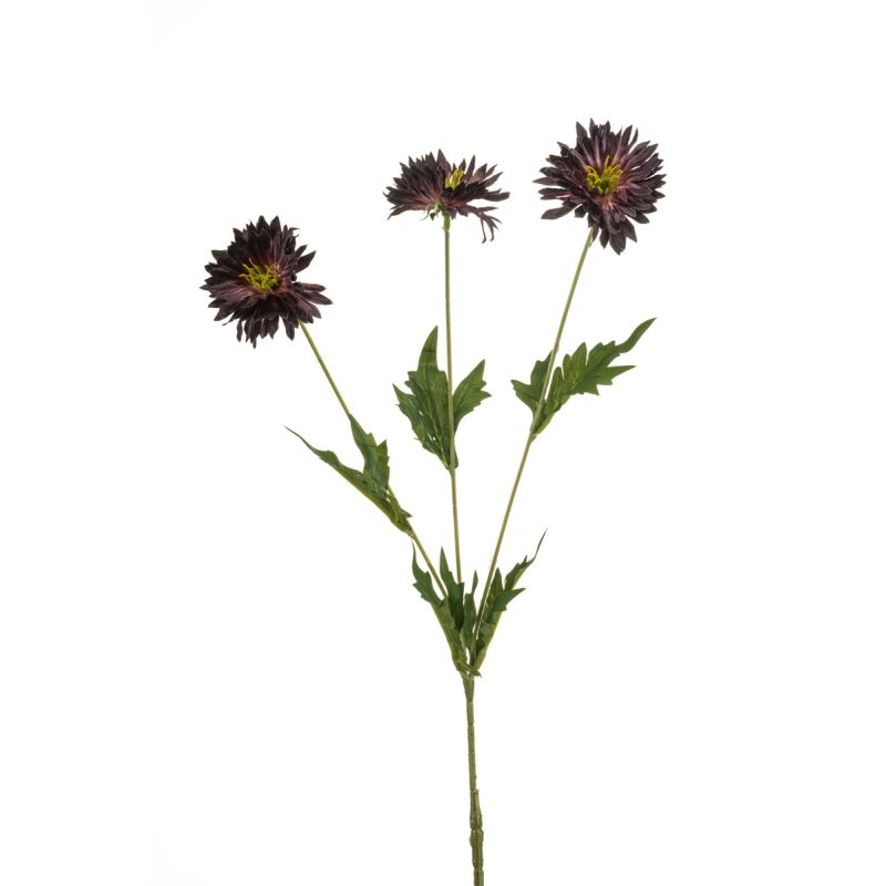 Centaurea spray dk purple 75cm