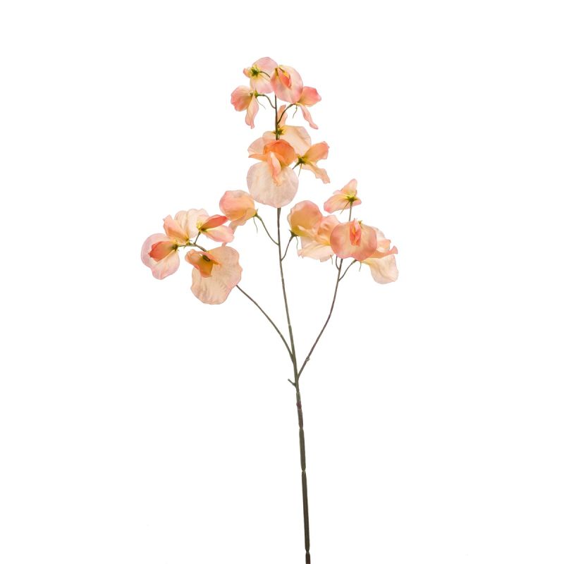 Lathyrus spray peach 75cm