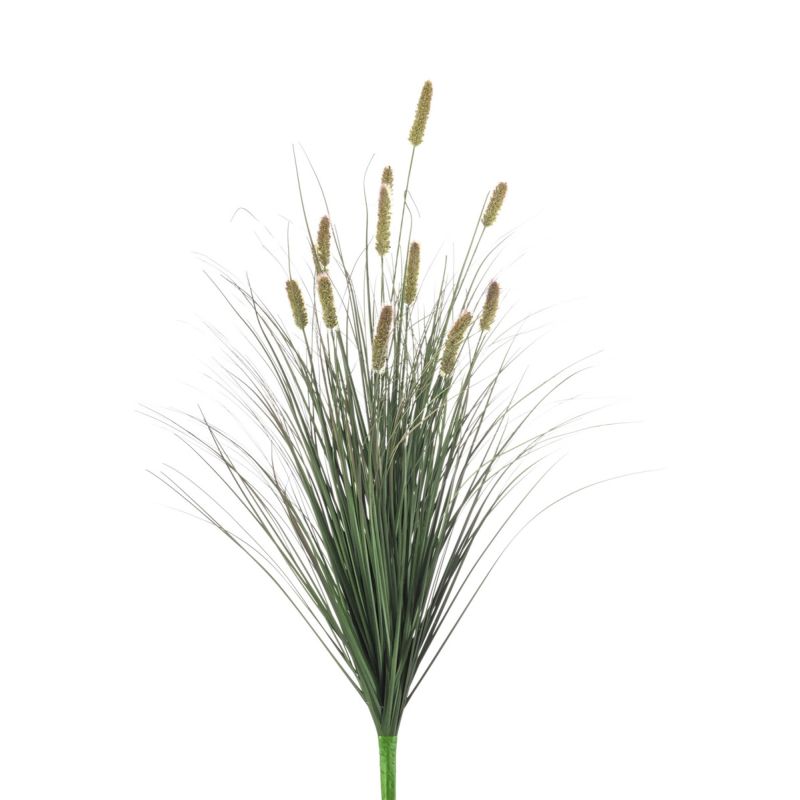 Pennisetum bush 90cm