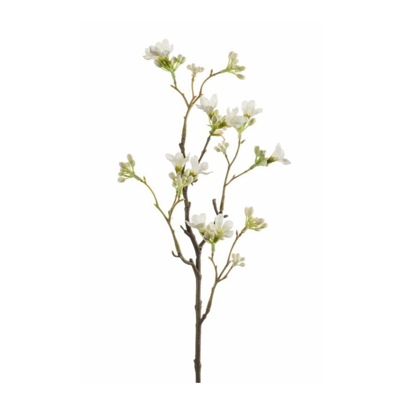 Seven sons flower spray white 50cm