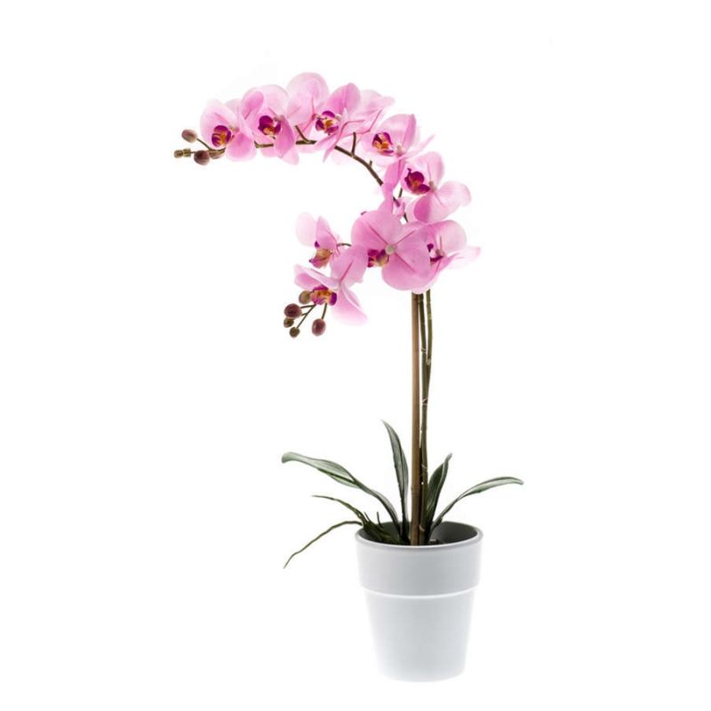 Phalaenopsis bush RT pink 65cm in white pot