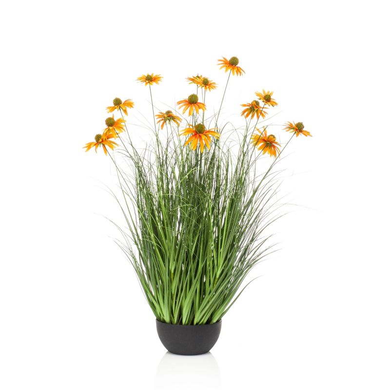 Rudbeckia grass orange in pot 90cm