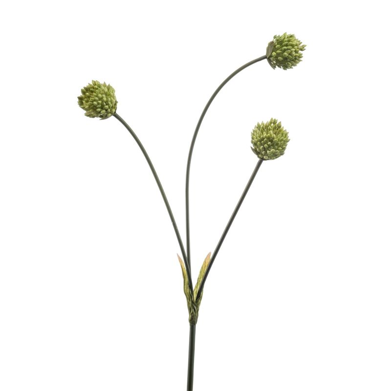 Onion spray green 69cm