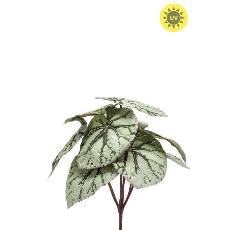 Begonia leaves bush UV grey 25cm