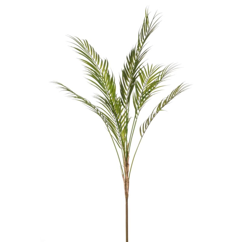 Palm chameadorea spray 120cm