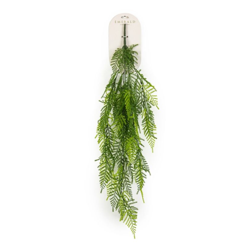 Asparagus hanging bush tt green 95cm