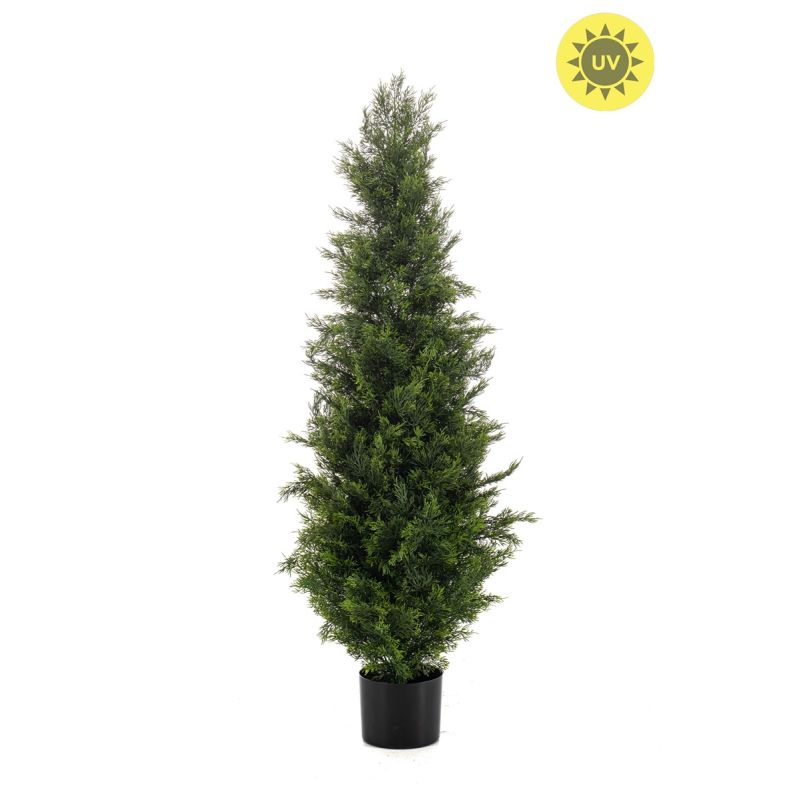 Cedar tree UV 120cm