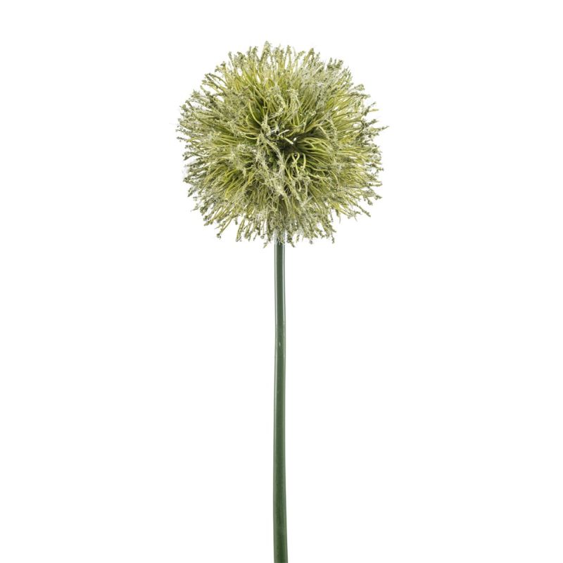 Allium spray XL green 85cm