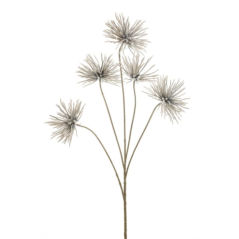 Anemone seed spray brown 97cm