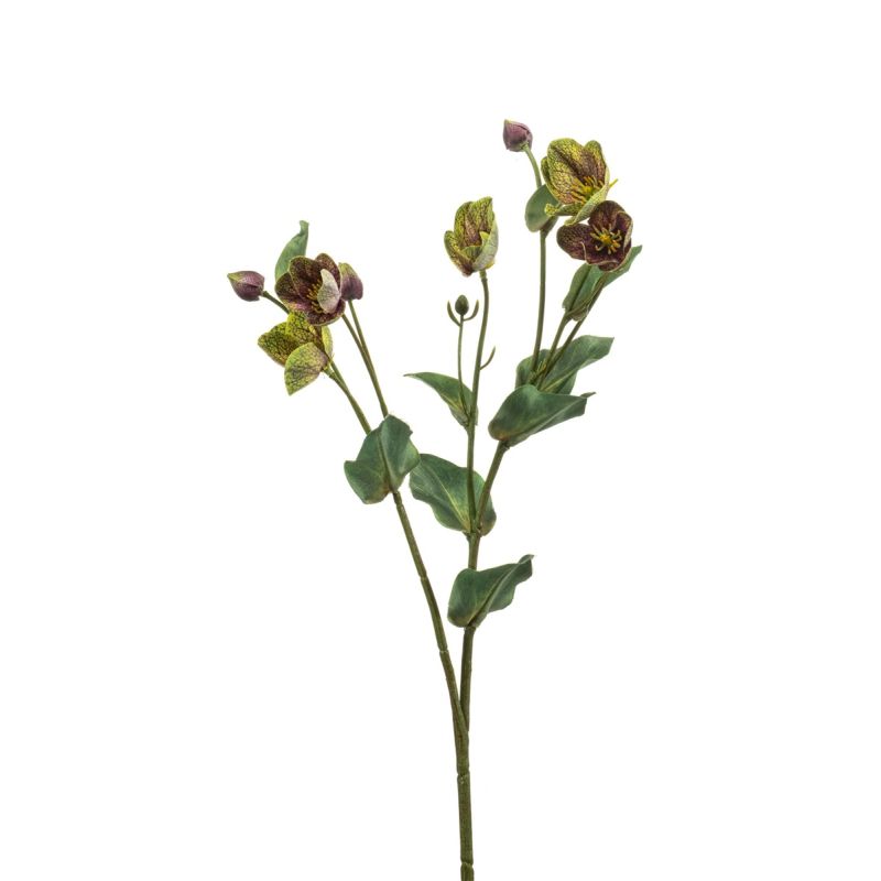 Helleborus spray green/purple 52cm