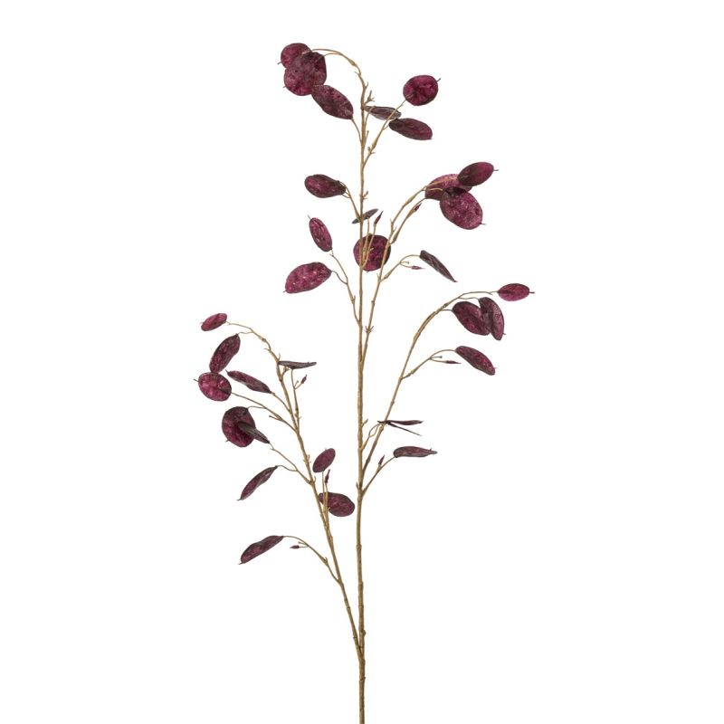 Lunaria spray purple 120cm