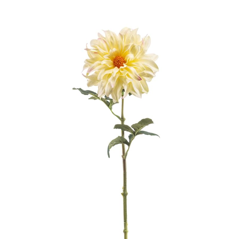 Dahlia spider spray lt yellow 56cm
