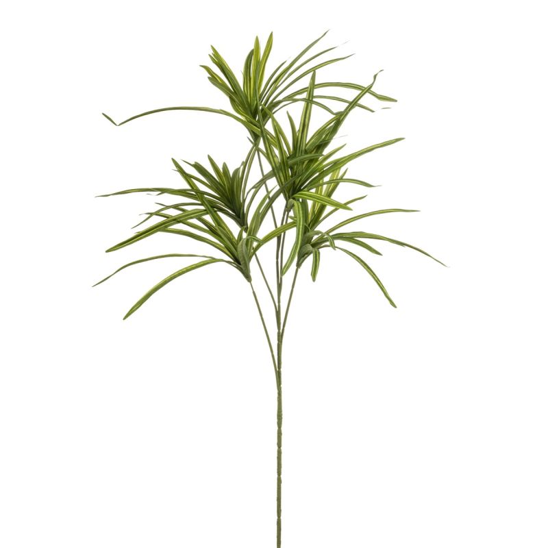Dracaena spray green 90cm