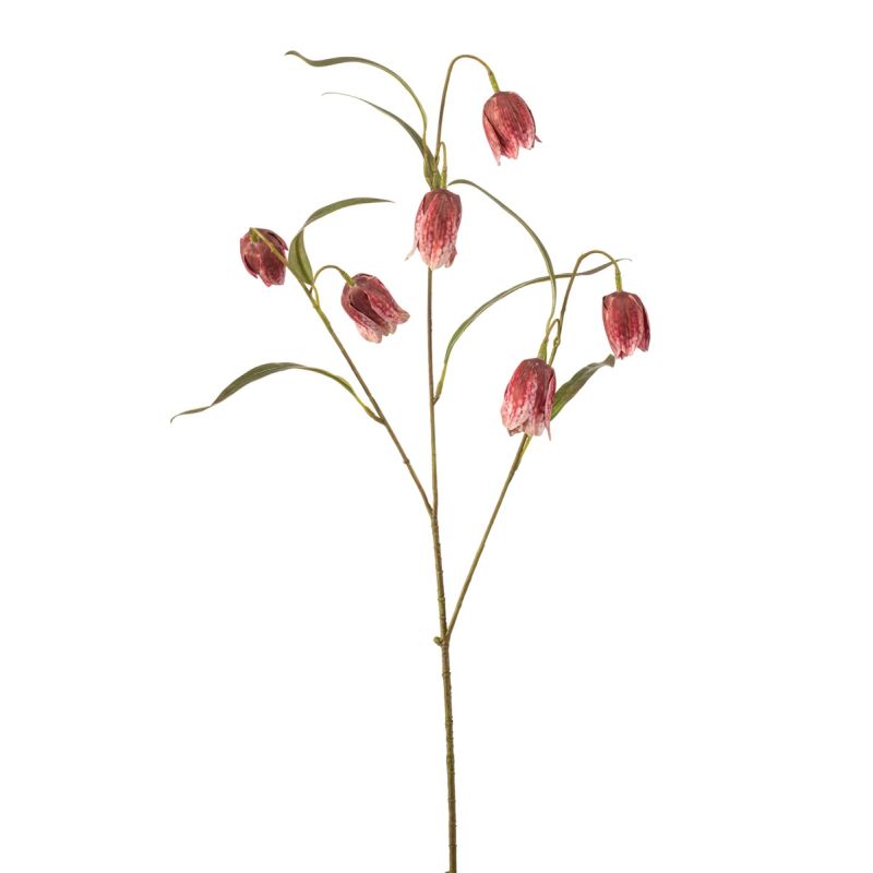 Frittilaria spray x3 tt pink 58cm