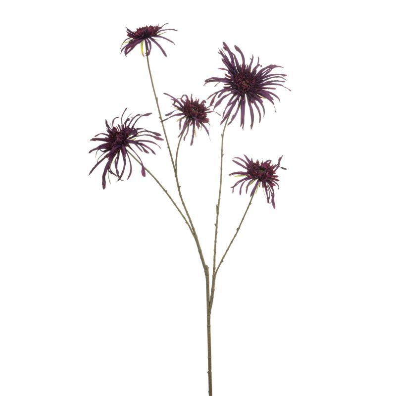 Chrysantum spider spray puple 110cm