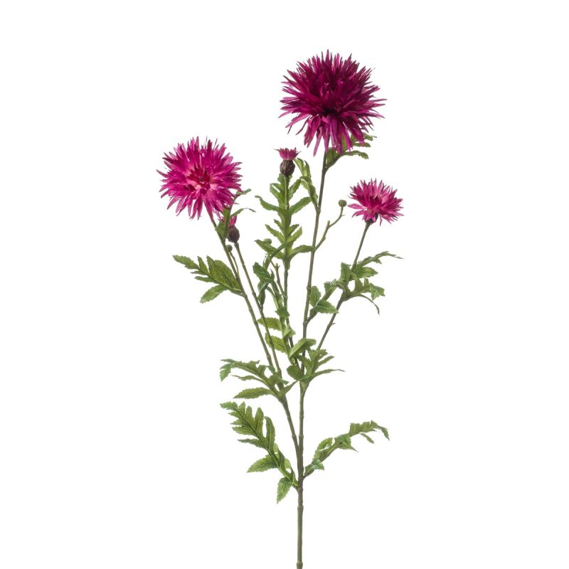 Centaurea spray fuchsia 100cm