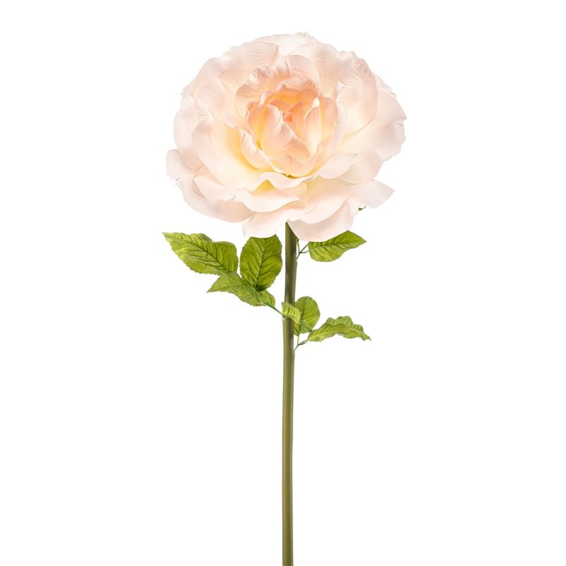 Rose giant spray peach 115cm (knock down packing)