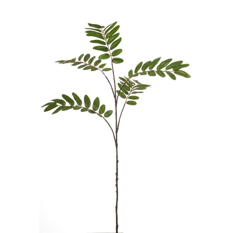 Mahonia spray green 105cm