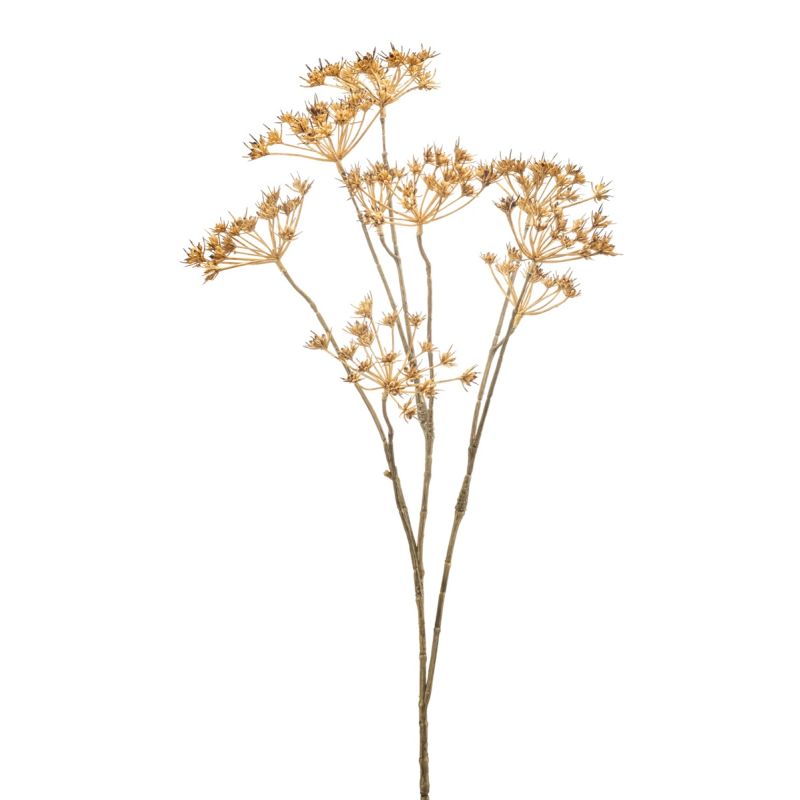 Heracleum mini spray beige 75cm