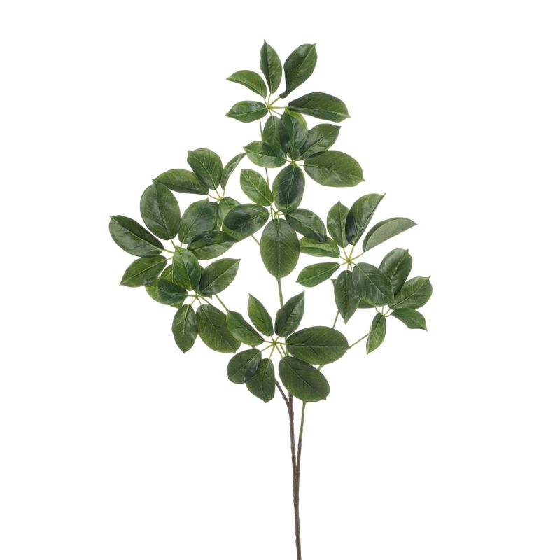 Schefflera spray green 110cm