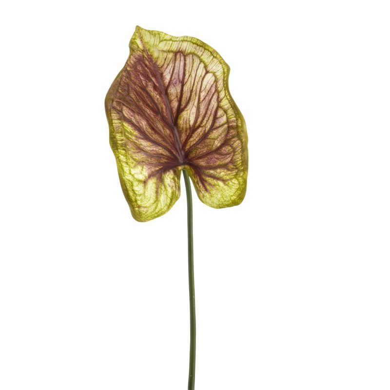 Caladium spray green/purple 70cm