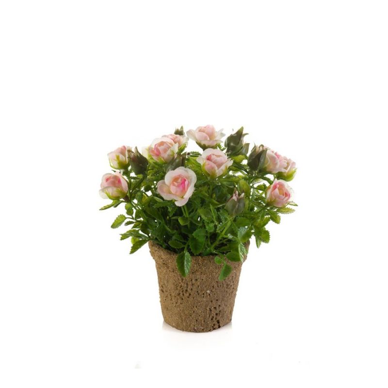 Rose mini lt pink in paper pot 13cm