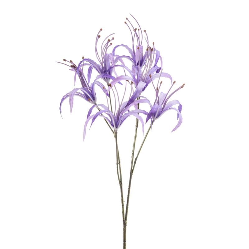 Nerine spray purple 55cm