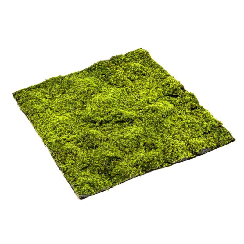 Sphagnum moss mat 100x100cm