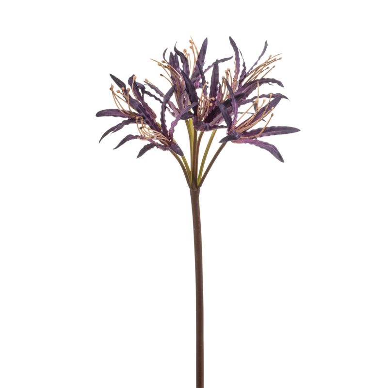 Nerine spray purple 95cm