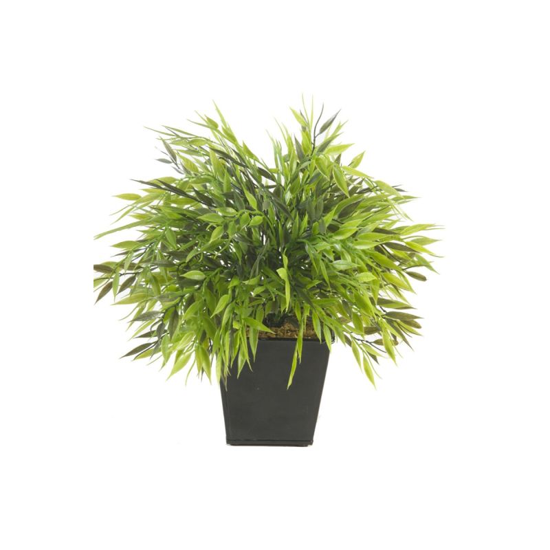 Bamboo mix in pot 25cm