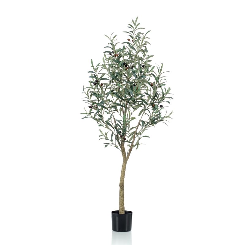 Olive tree 140cm