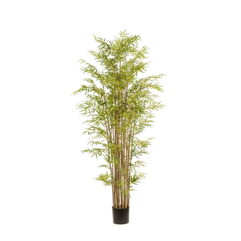 Bamboo japanese multi x21 210cm