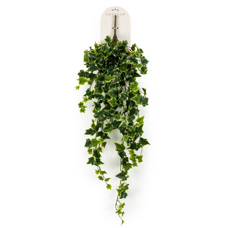 Ivy hanging bush green/white 100cm