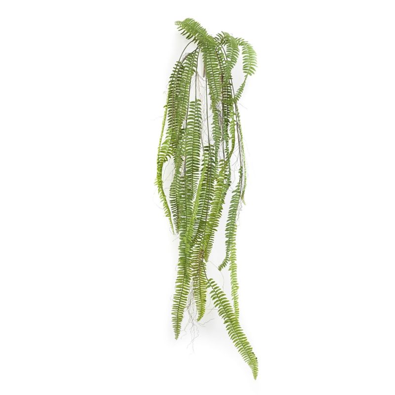 Fern nephrolepis liana 150cm