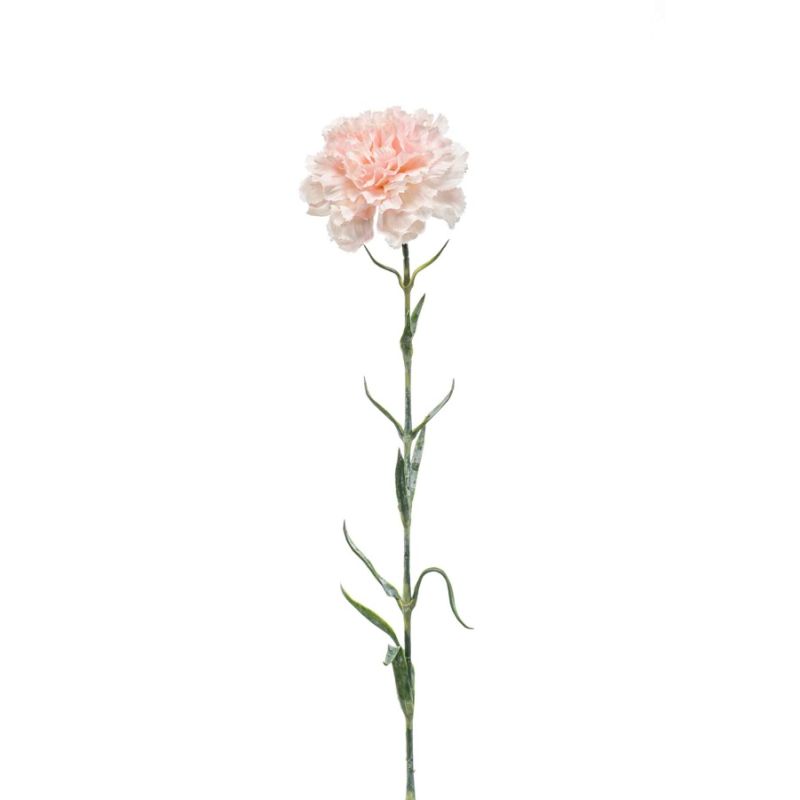 Dianthus spray peach 67cm