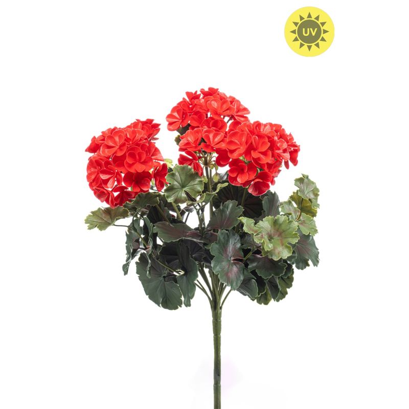 Geranium bush UV red 41cm