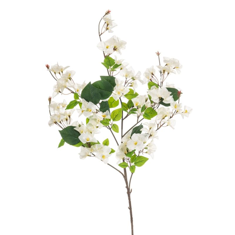 Bougainvillea spray cream 100cm