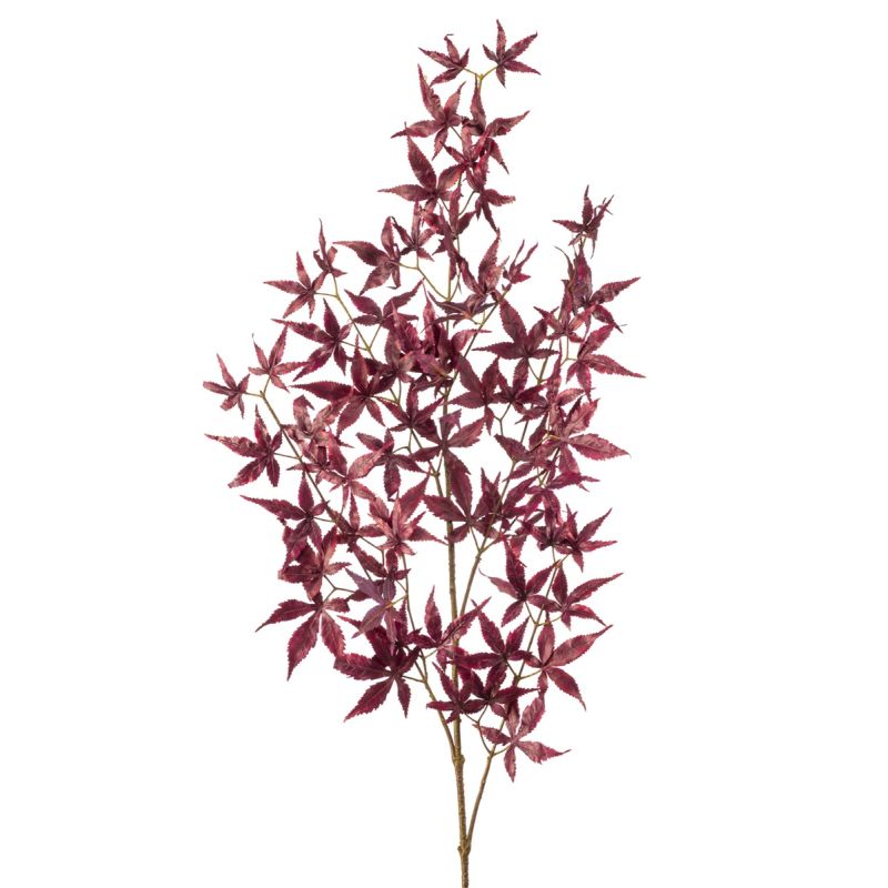 Japanese maple spray burgundy 110cm