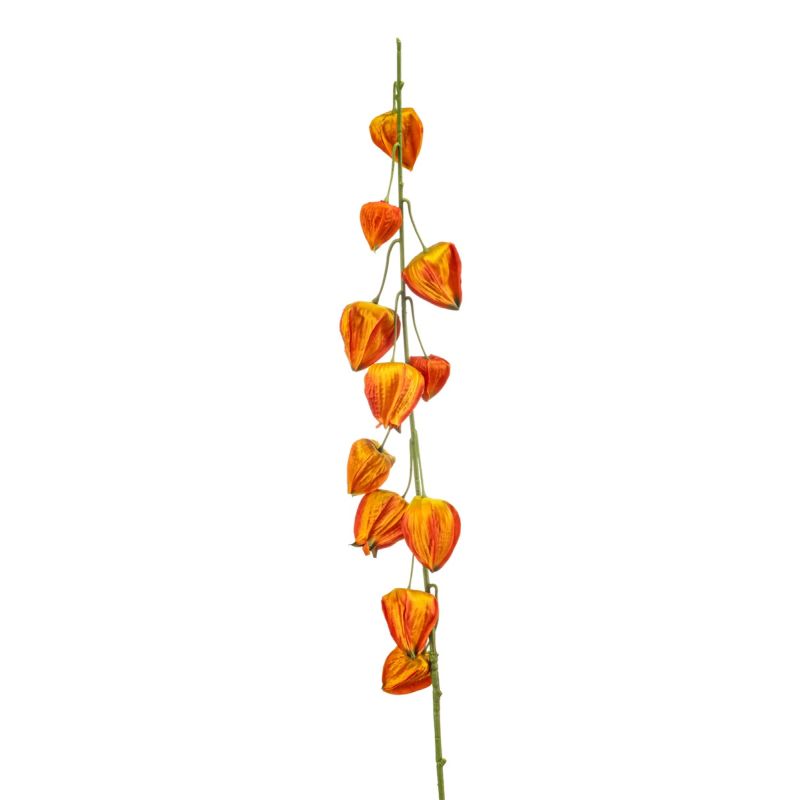 Physalis spray orange 97cm