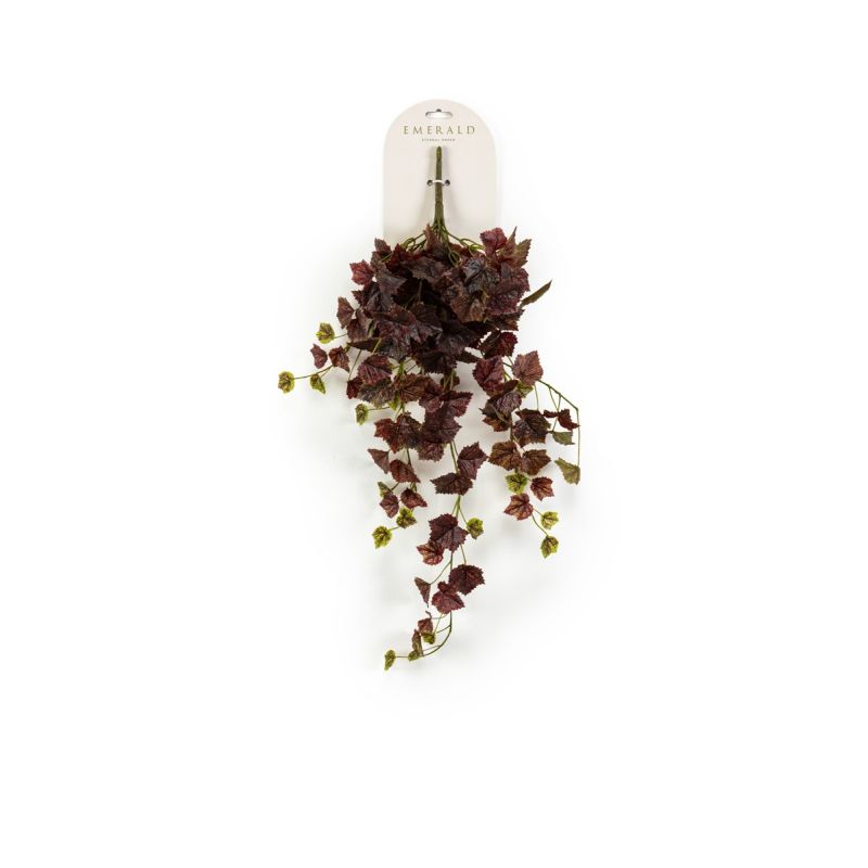 Grape hanging bush burgundy 60cm