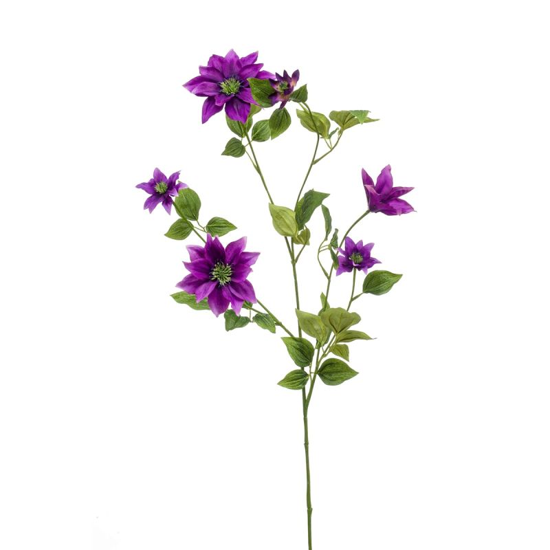 Clematis spray purple 110cm
