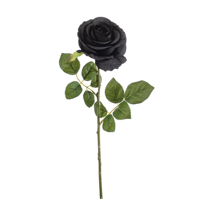 Rose syl spray black 67cm